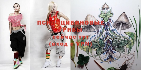 мдпв Корсаков