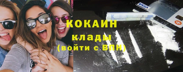 крисы Костерёво