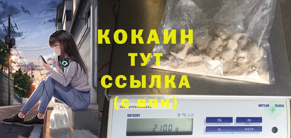 дурь Коряжма