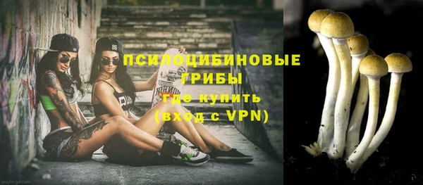 дурь Коряжма