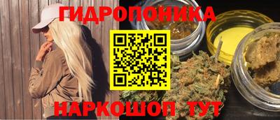 спиды Аргун