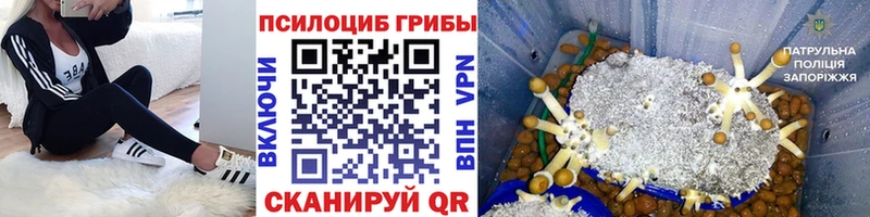 Галлюциногенные грибы мицелий  как найти закладки  Апрелевка 