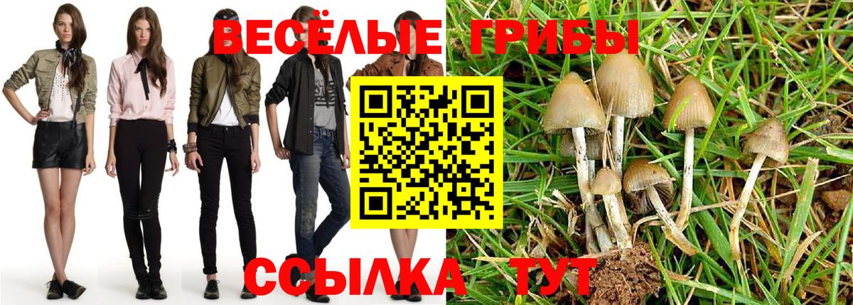 Галлюциногенные грибы мицелий  Вход с VPN  Апрелевка  Галлюциногенные грибы мухоморы 