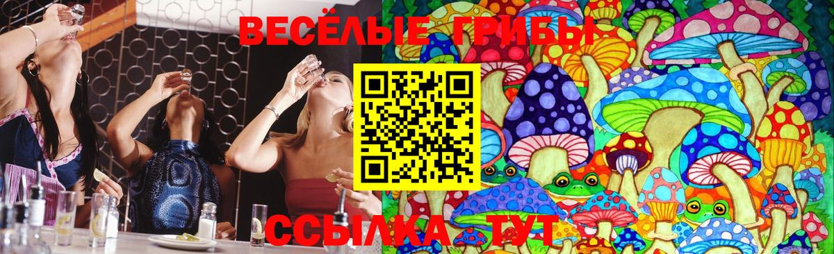 где купить наркоту  Апрелевка  Псилоцибиновые грибы MAGIC MUSHROOMS 