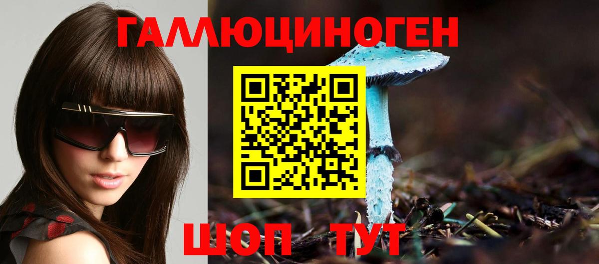 Галлюциногенные грибы GOLDEN TEACHER Апрелевка